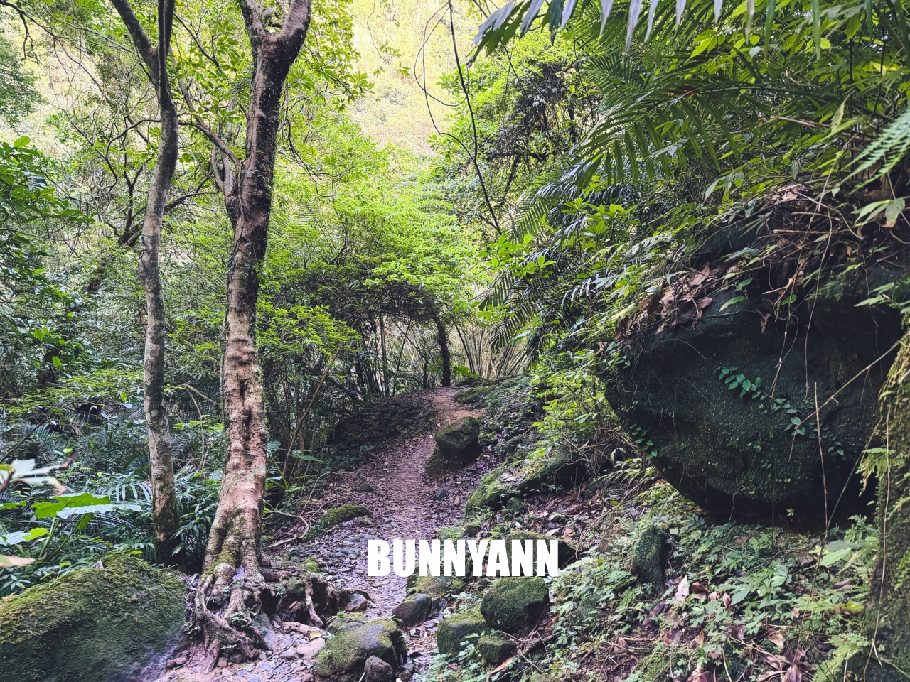 新北市【三貂嶺瀑布步道】挑戰摩天瀑布與枇杷洞瀑布，絕美洞穴水濂洞，入門等級登山步道。