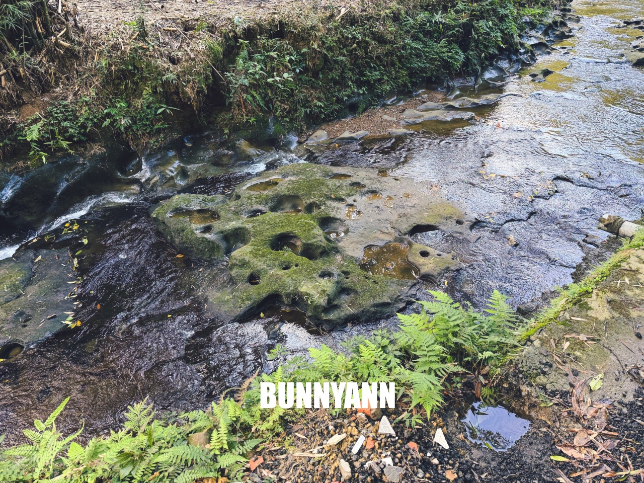 新北市【三貂嶺瀑布步道】挑戰摩天瀑布與枇杷洞瀑布，絕美洞穴水濂洞，入門等級登山步道。