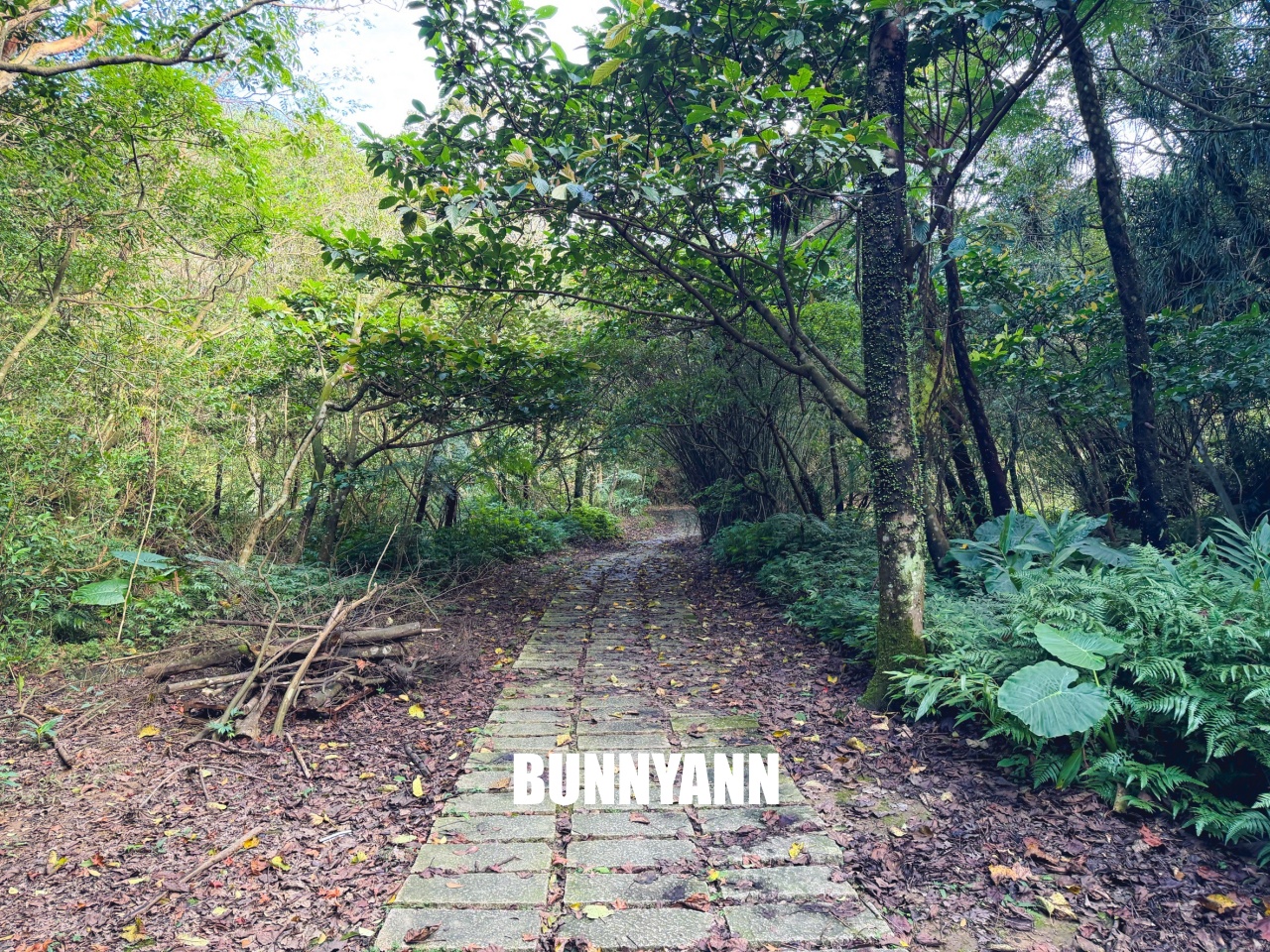 新北市【三貂嶺瀑布步道】挑戰摩天瀑布與枇杷洞瀑布，絕美洞穴水濂洞，入門等級登山步道。