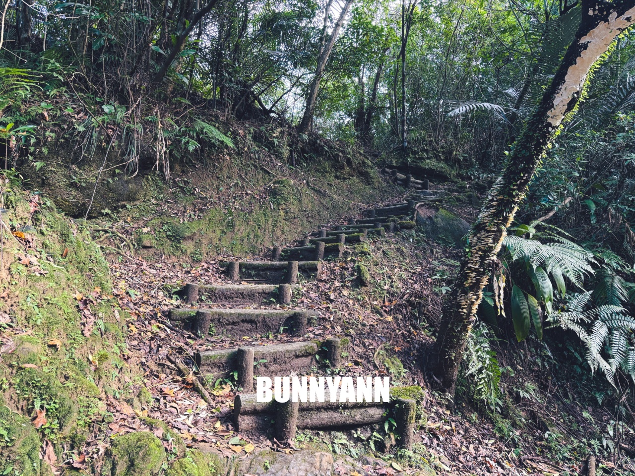 新北市【三貂嶺瀑布步道】挑戰摩天瀑布與枇杷洞瀑布，絕美洞穴水濂洞，入門等級登山步道。