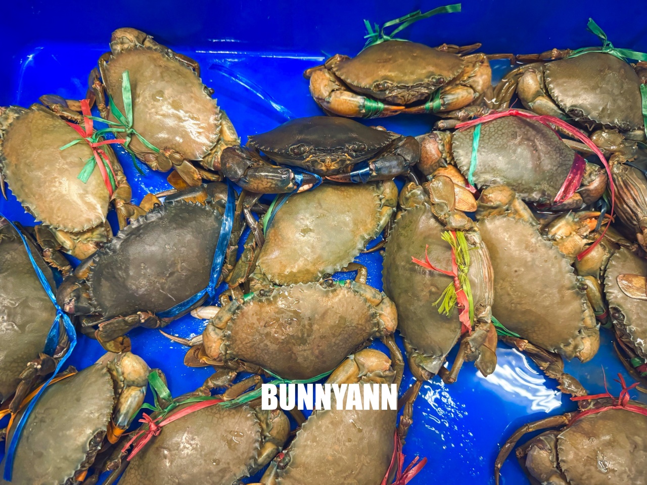 台中大安美食【海口味海鮮餐廳】小漁村內的平價海鮮餐廳 台中大安美食【海口味海鮮餐廳】小漁村內的平價海鮮餐廳