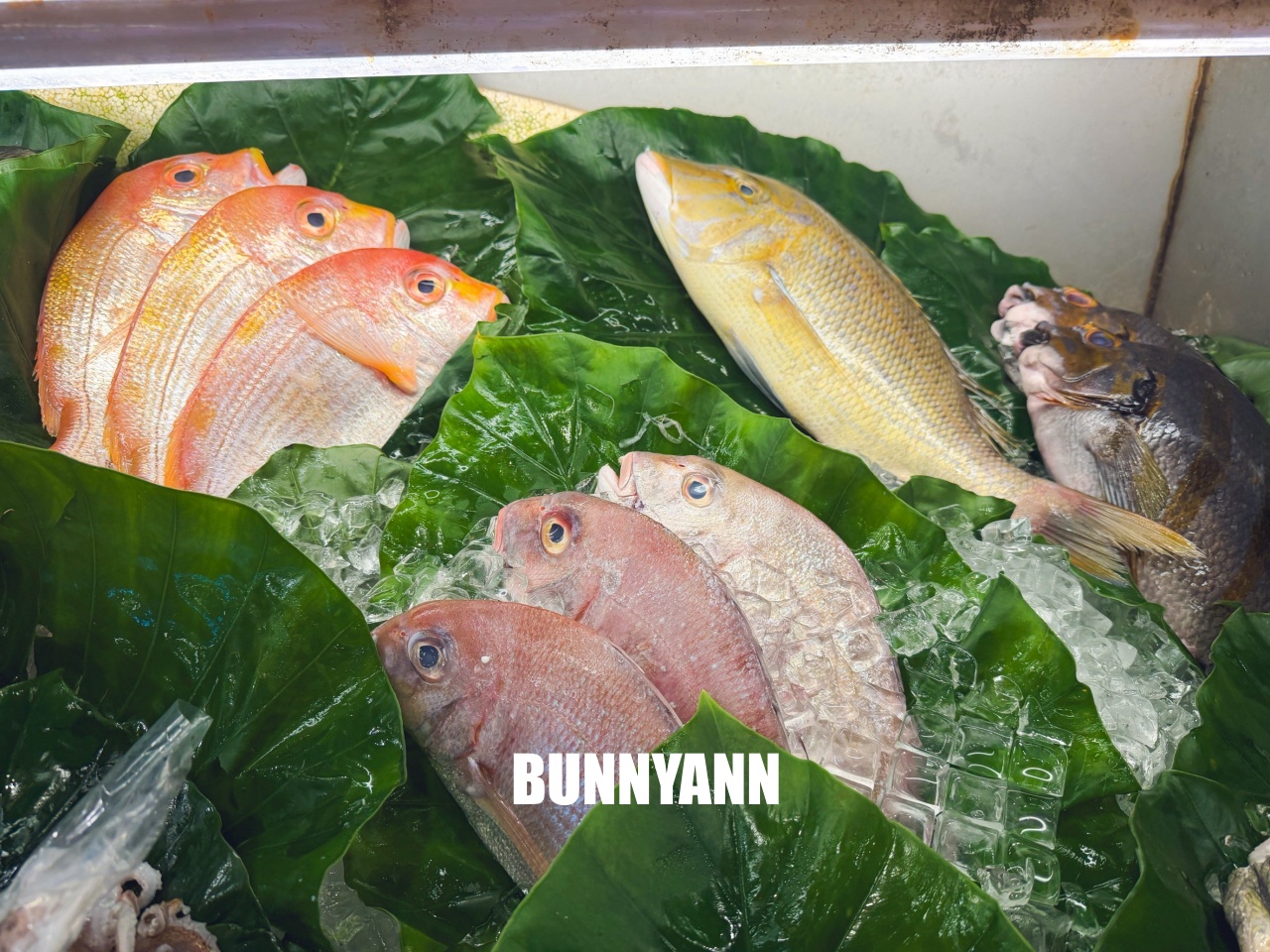 台中大安美食【海口味海鮮餐廳】小漁村內的平價海鮮餐廳 台中大安美食【海口味海鮮餐廳】小漁村內的平價海鮮餐廳