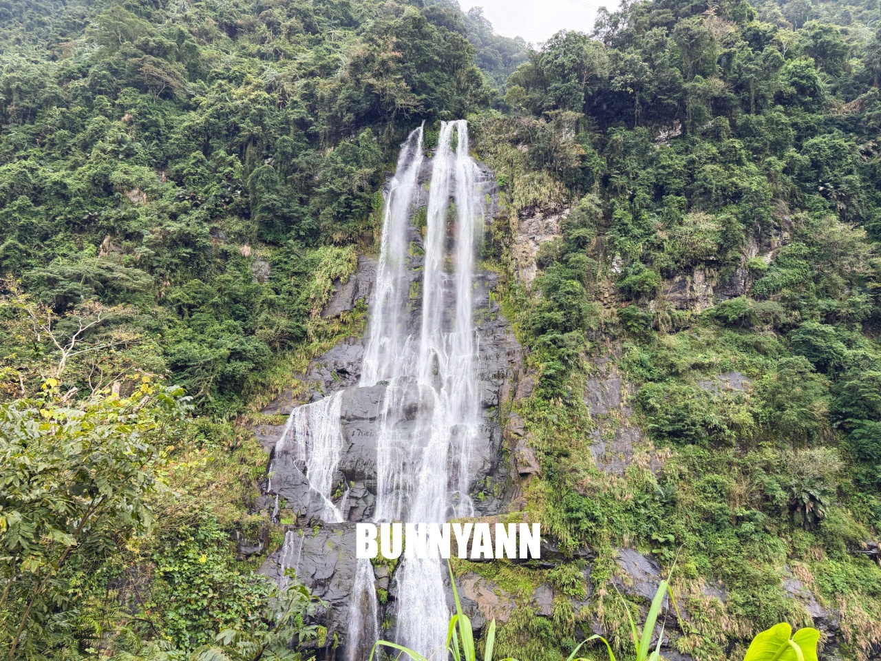 新北景點【烏來觀光台車】搭乘粉嫩小豬台車，穿梭隧道看絕美瀑布全攻略