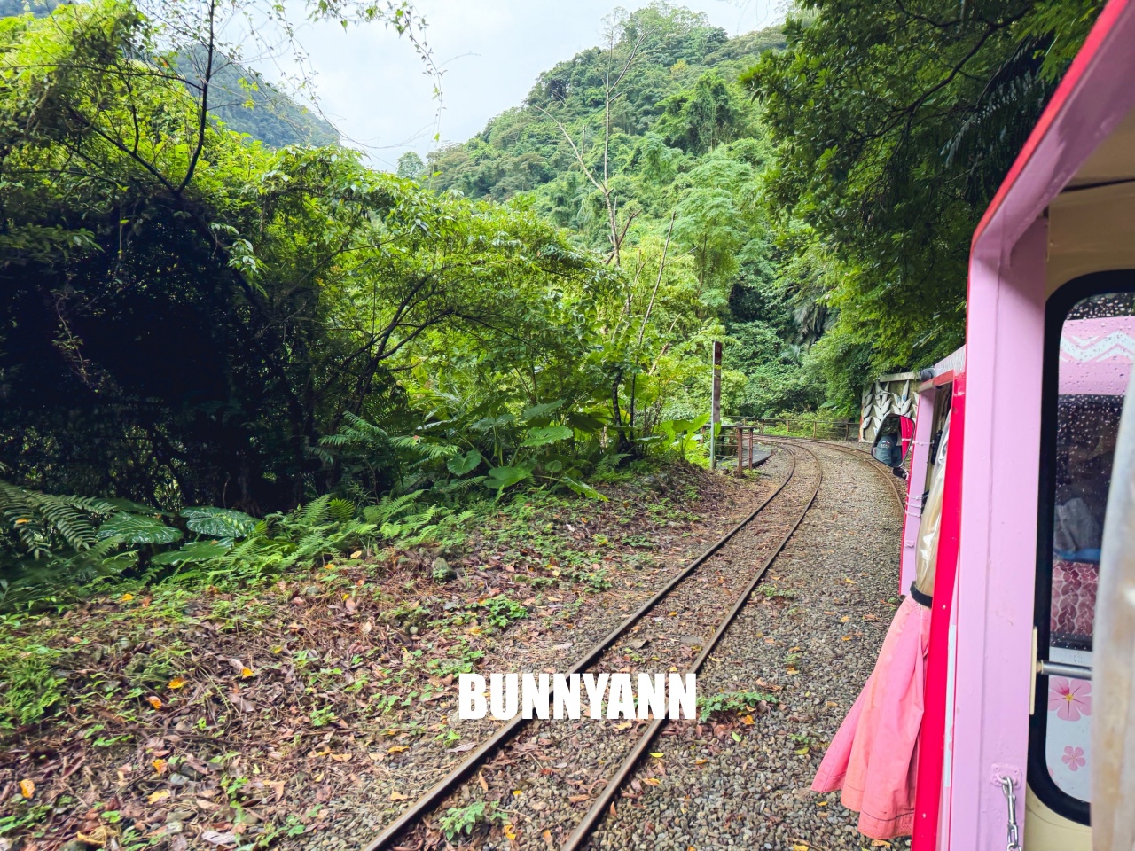 新北景點【烏來觀光台車】搭乘粉嫩小豬台車，穿梭隧道看絕美瀑布全攻略