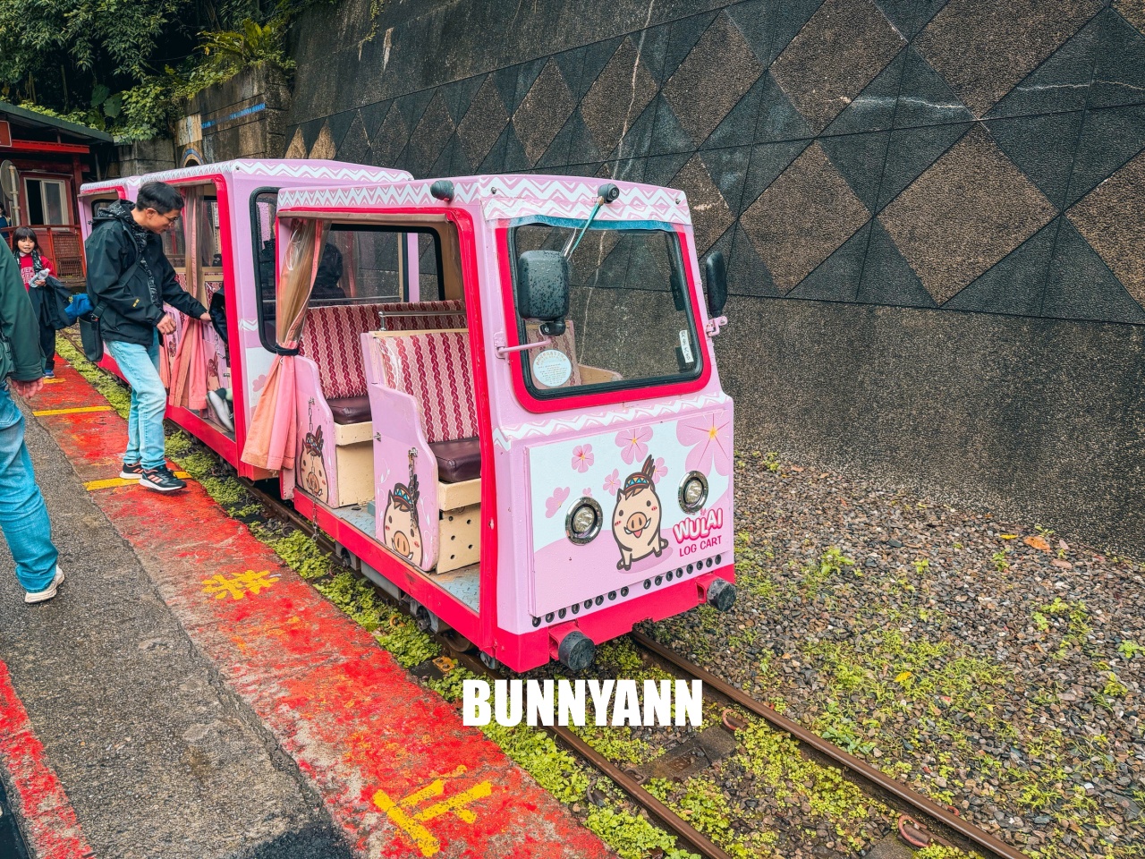 新北景點【烏來觀光台車】搭乘粉嫩小豬台車，穿梭隧道看絕美瀑布全攻略