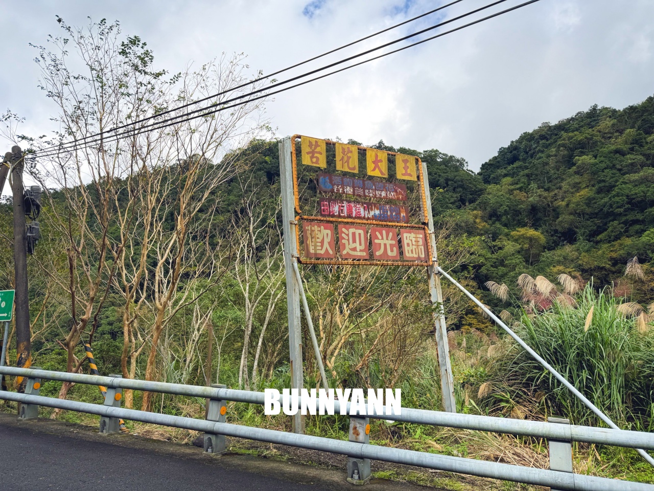 雙連埤美食「苦花大王」釣魚餐廳！自己吃的鱘龍魚自己釣起來煮