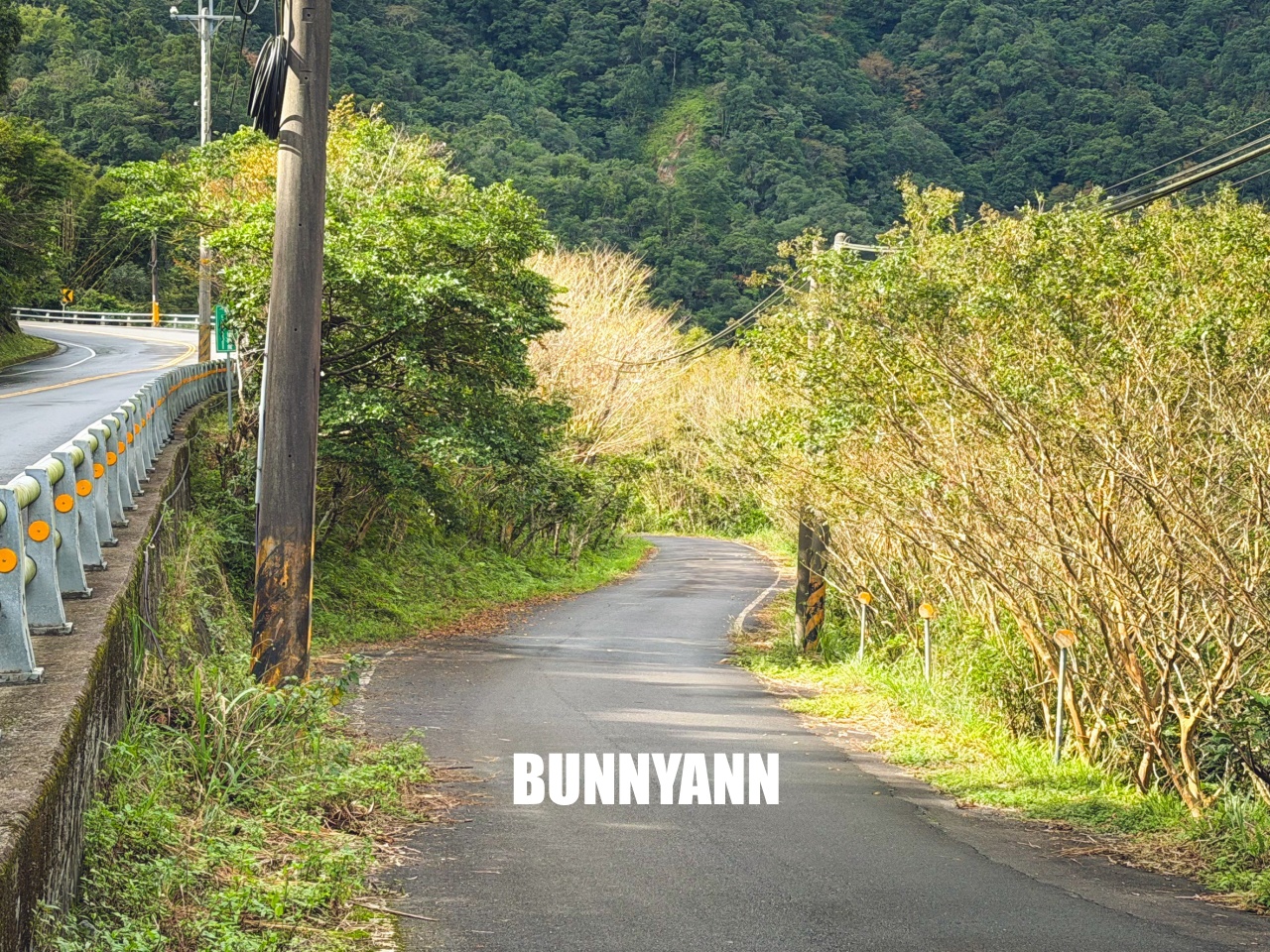 雙連埤美食「苦花大王」釣魚餐廳！自己吃的鱘龍魚自己釣起來煮