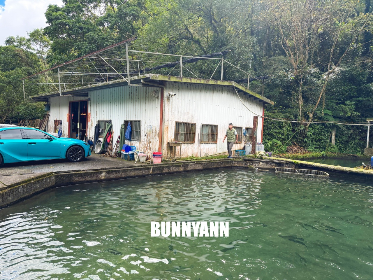 雙連埤美食「苦花大王」釣魚餐廳！自己吃的鱘龍魚自己釣起來煮