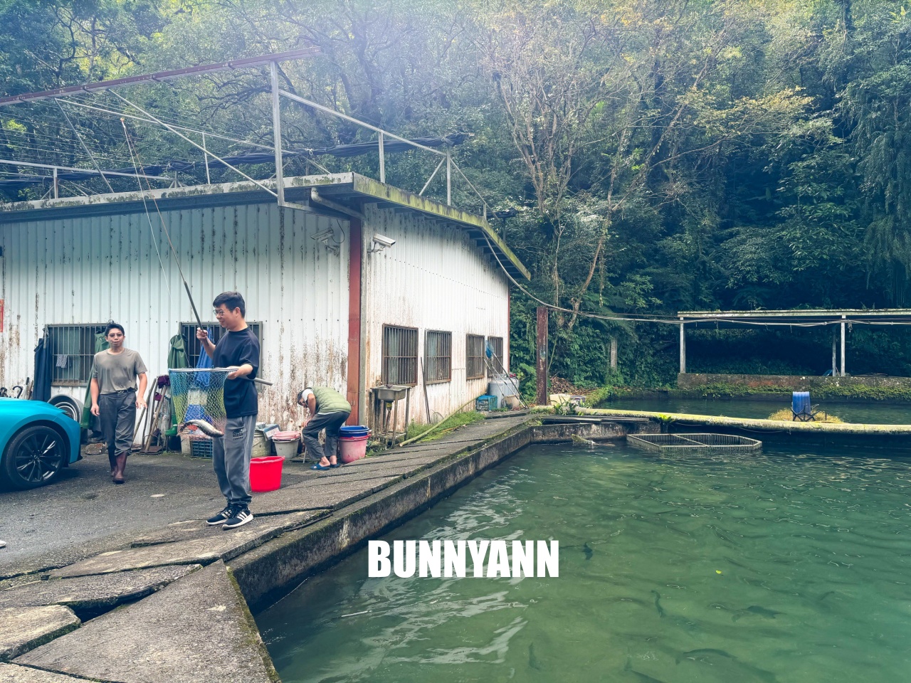 雙連埤美食「苦花大王」釣魚餐廳！自己吃的鱘龍魚自己釣起來煮