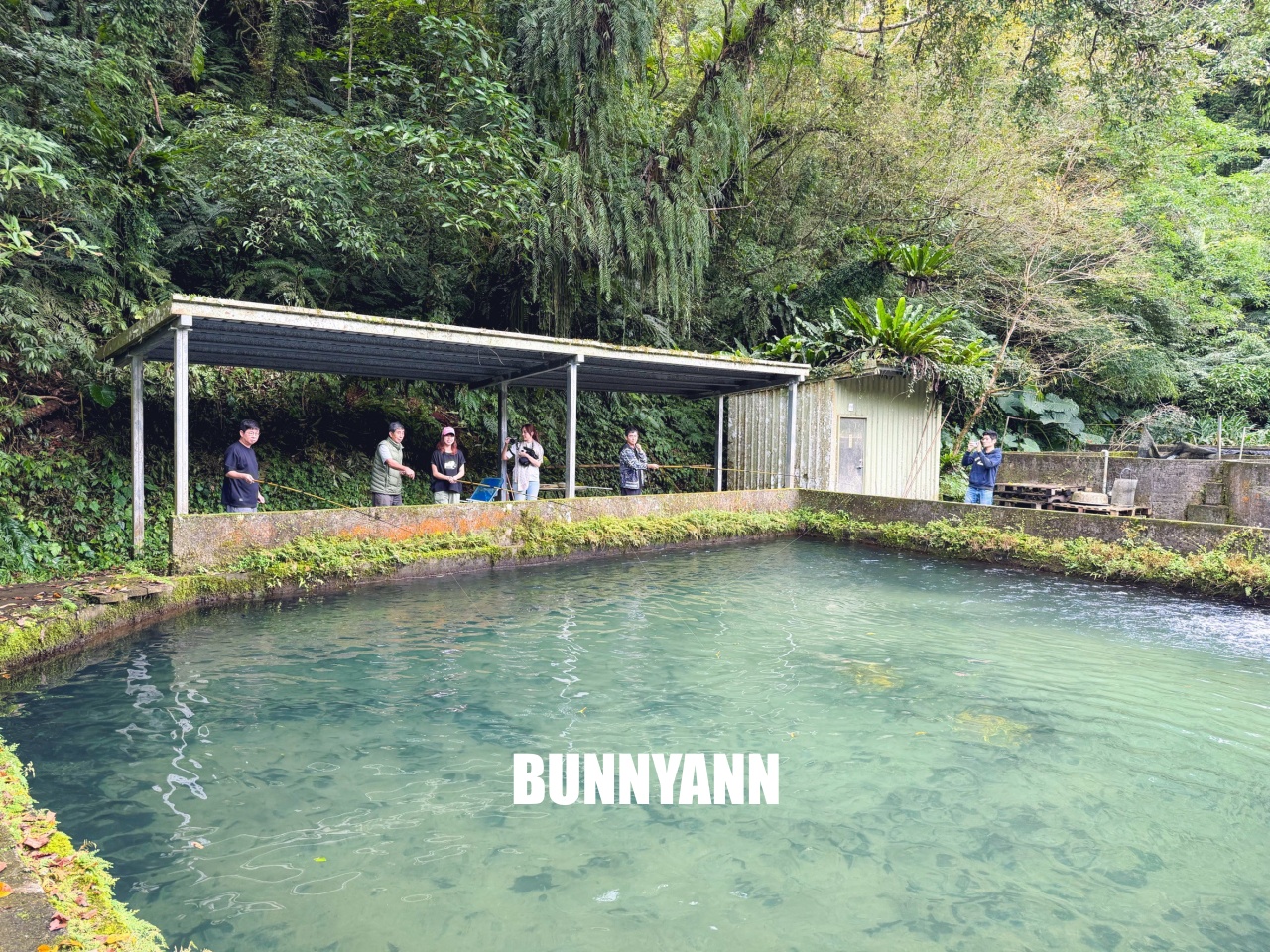 雙連埤美食「苦花大王」釣魚餐廳！自己吃的鱘龍魚自己釣起來煮