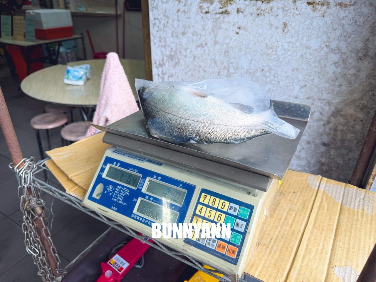 雙連埤美食「苦花大王」釣魚餐廳！自己吃的鱘龍魚自己釣起來煮