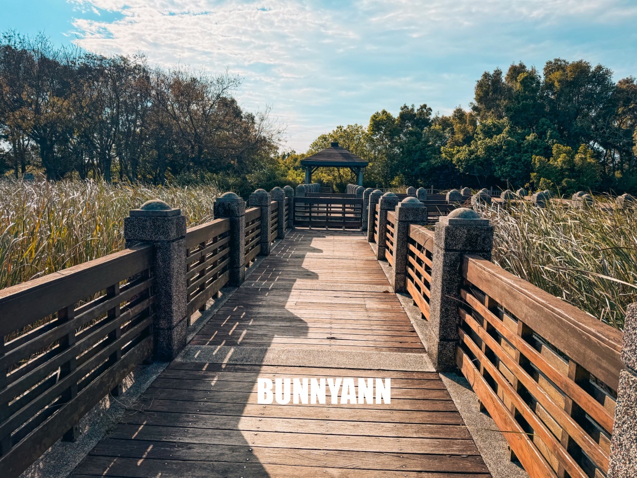 台中親子【台中都會公園】草地野餐、騎腳踏車、放風箏，免門票一日遊攻略。