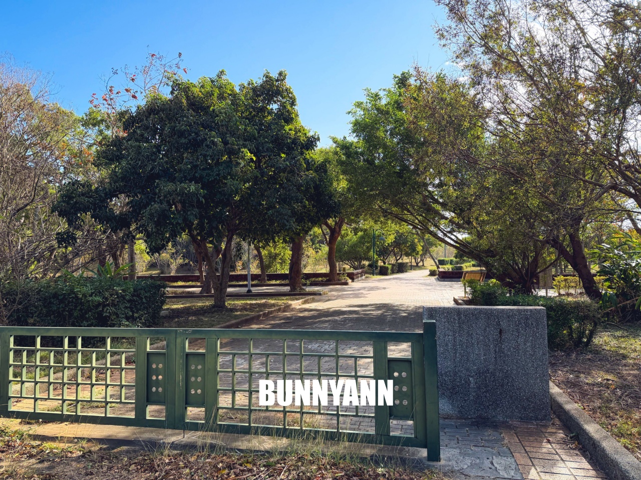 台中親子【台中都會公園】草地野餐、騎腳踏車、放風箏，免門票一日遊攻略。