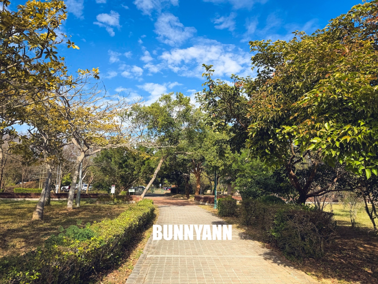 台中親子【台中都會公園】草地野餐、騎腳踏車、放風箏，免門票一日遊攻略。