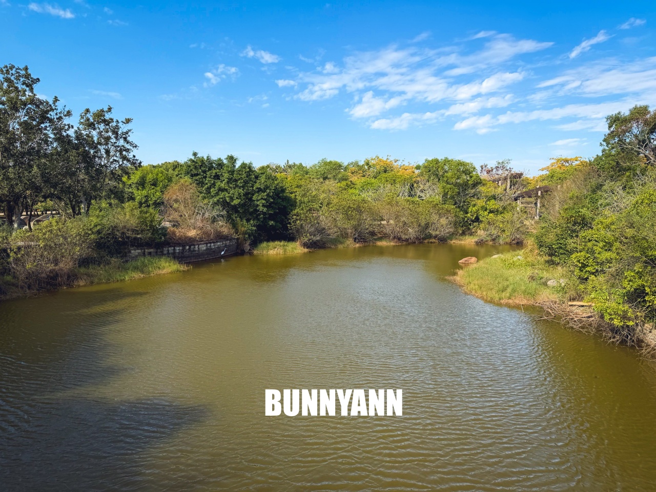 台中親子【台中都會公園】草地野餐、騎腳踏車、放風箏，免門票一日遊攻略。