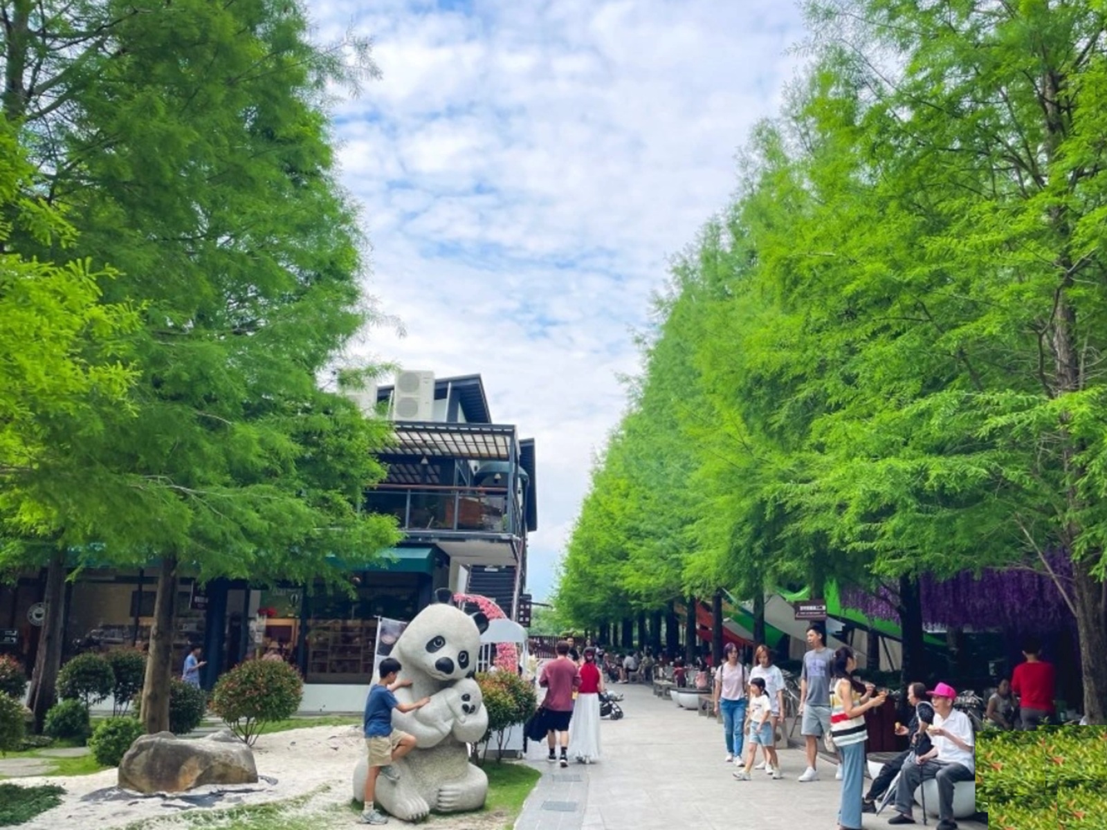 水与松森林莊園