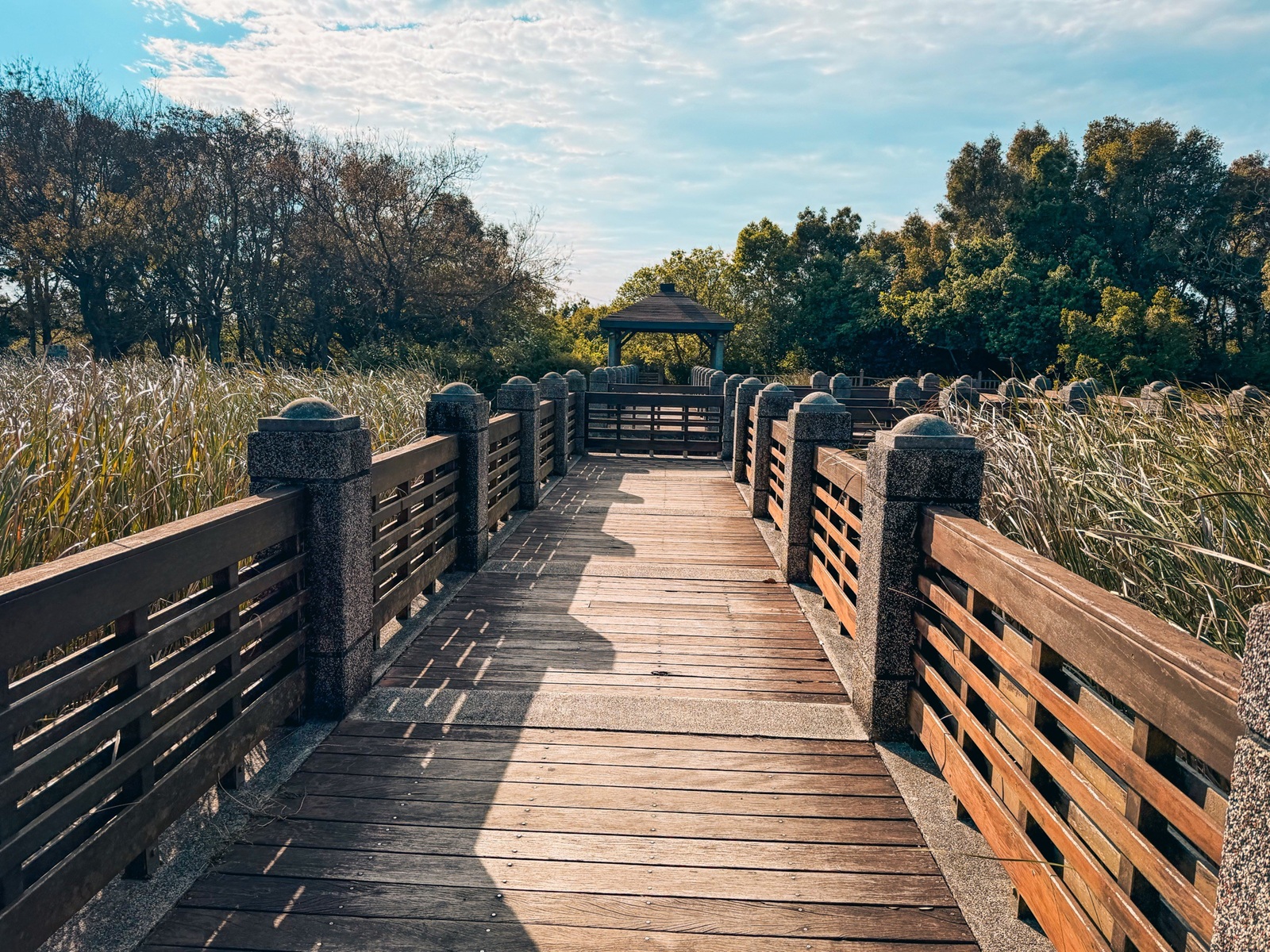 台中親子【台中都會公園】草地野餐、騎腳踏車、放風箏，免門票一日遊攻略。