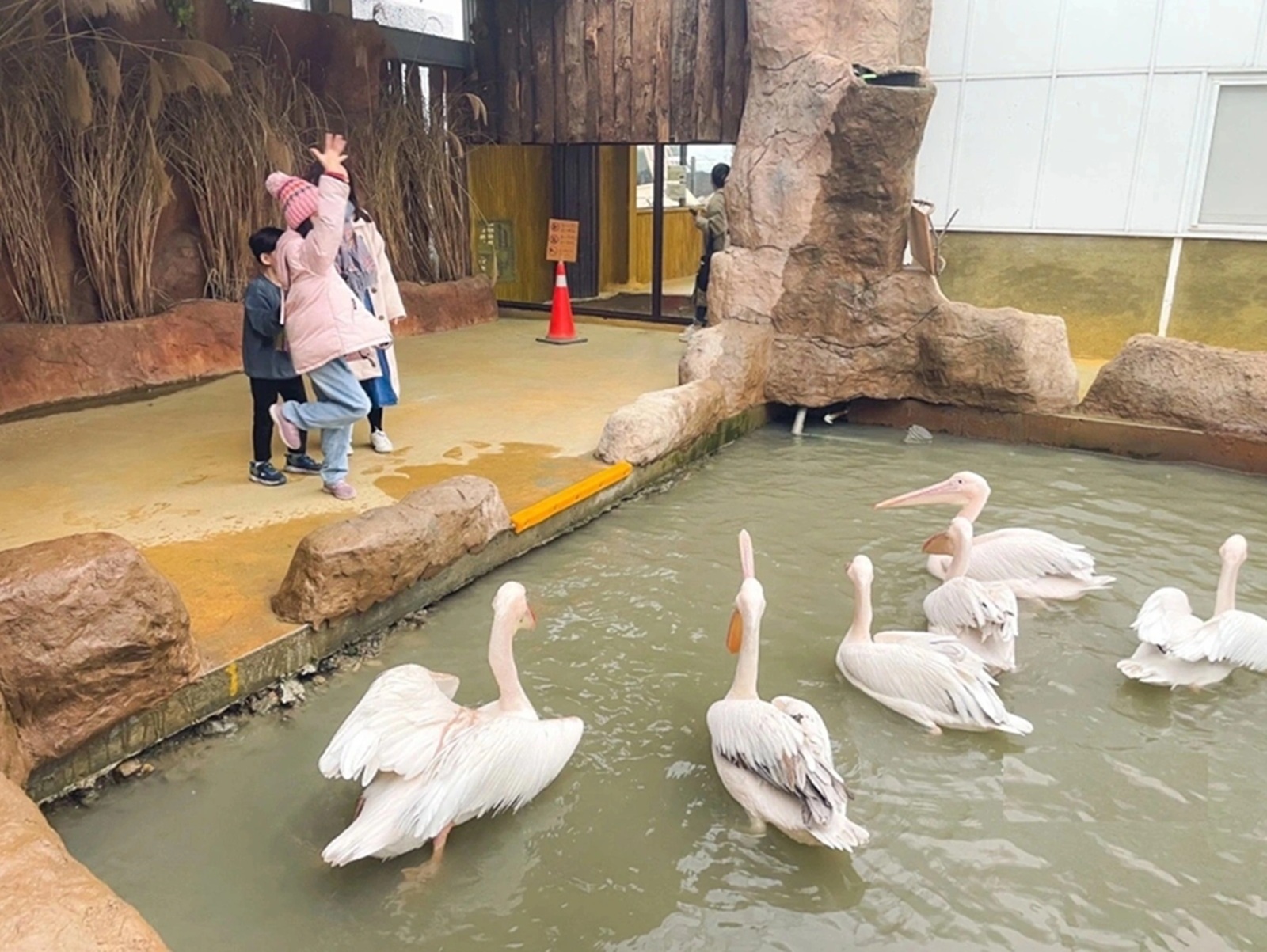 蘭陽動植物王國