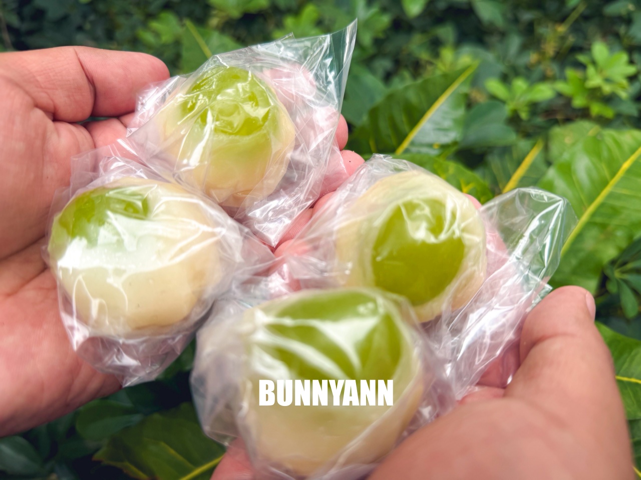 蘆洲美食【幸福麻糬春と秋】季節限定草莓大福與麝香葡萄,傳統手工麻糬超欠吃! 蘆洲美食【幸福麻糬春と秋】季節限定草莓大福與麝香葡萄,傳統手工麻糬超欠吃!