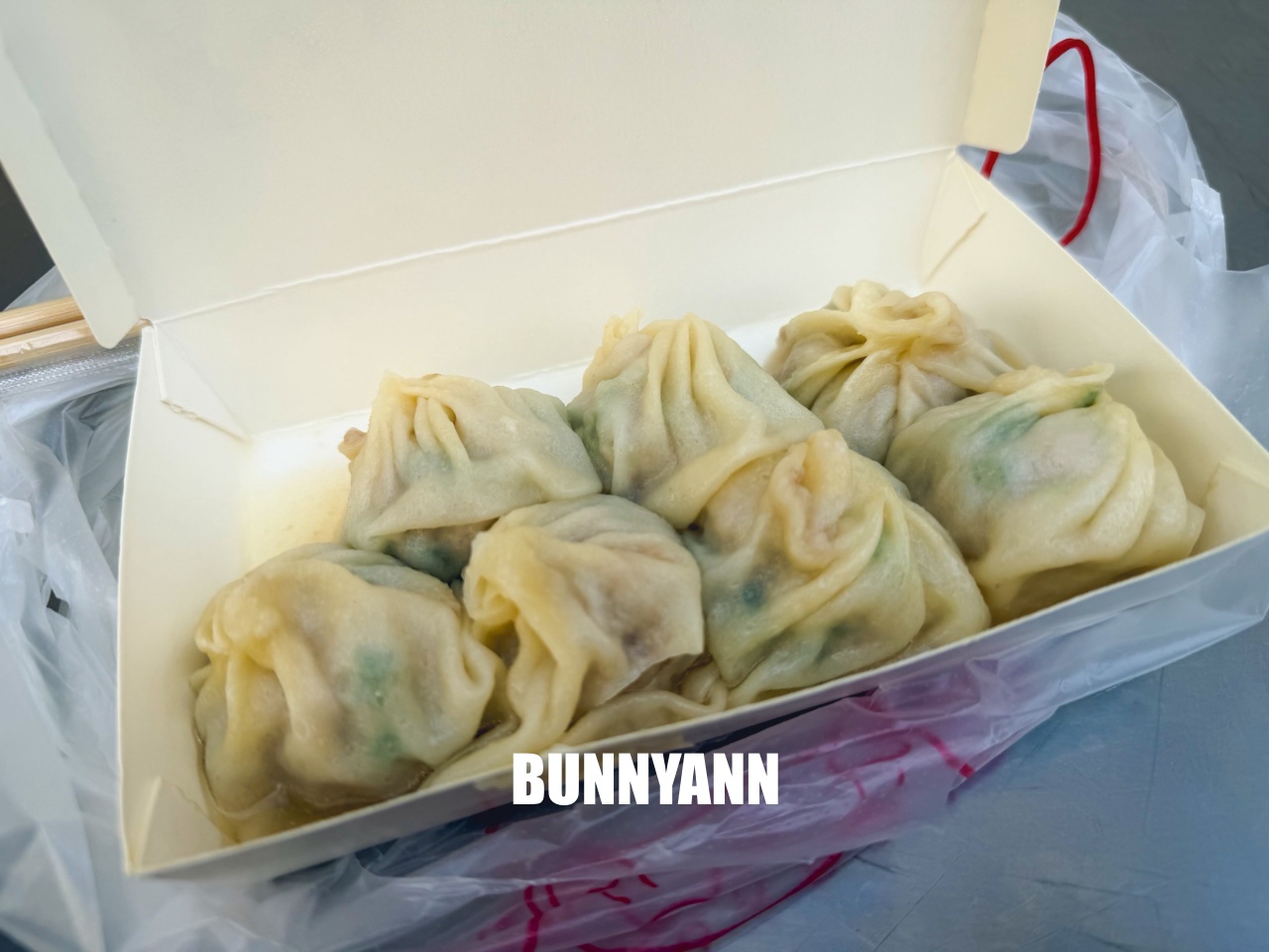 大甲美食推薦「阿嘉小籠包」現包現蒸，滿滿蔥肉內餡超多汁！