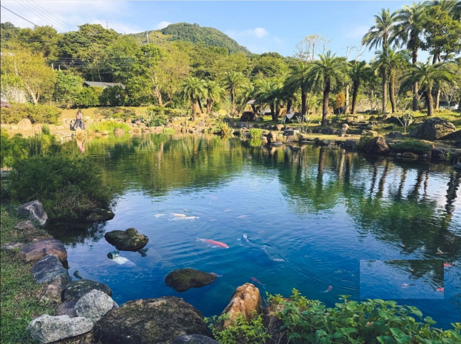 一半人的人沒來過，卻是私房森林湖畔，不限時待整天，手工披薩是招牌