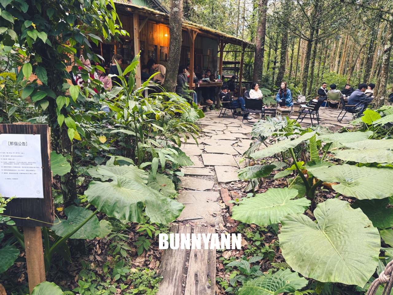 坪林森林系秘境！那個咖啡吧，隱身在山林裡的木造小屋，喝咖啡、康普茶，放空整個下午超Chill！