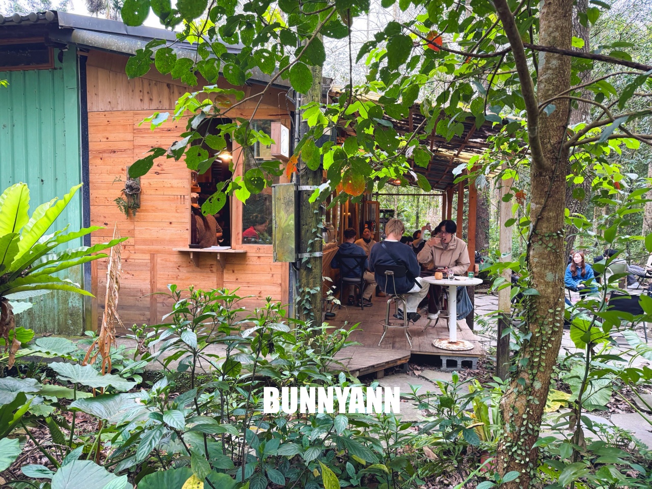 坪林森林系秘境！那個咖啡吧，隱身在山林裡的木造小屋，喝咖啡、康普茶，放空整個下午超Chill！