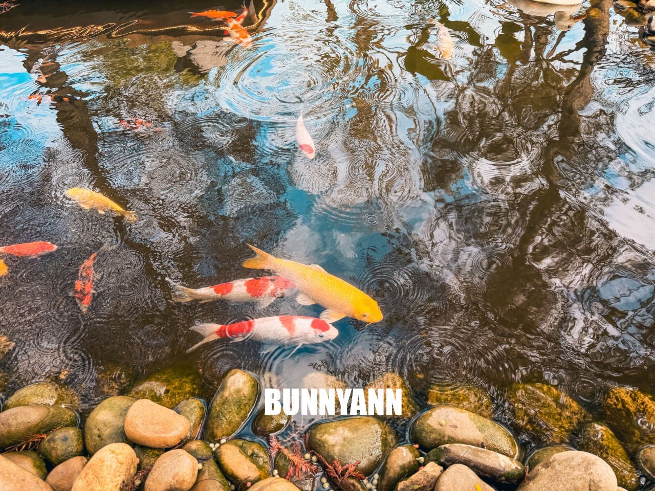 雲林新景點！虎珍堂森之院，日系庭院美如畫，餵魚、看小羊，還能品嚐超厲害地瓜甜點！