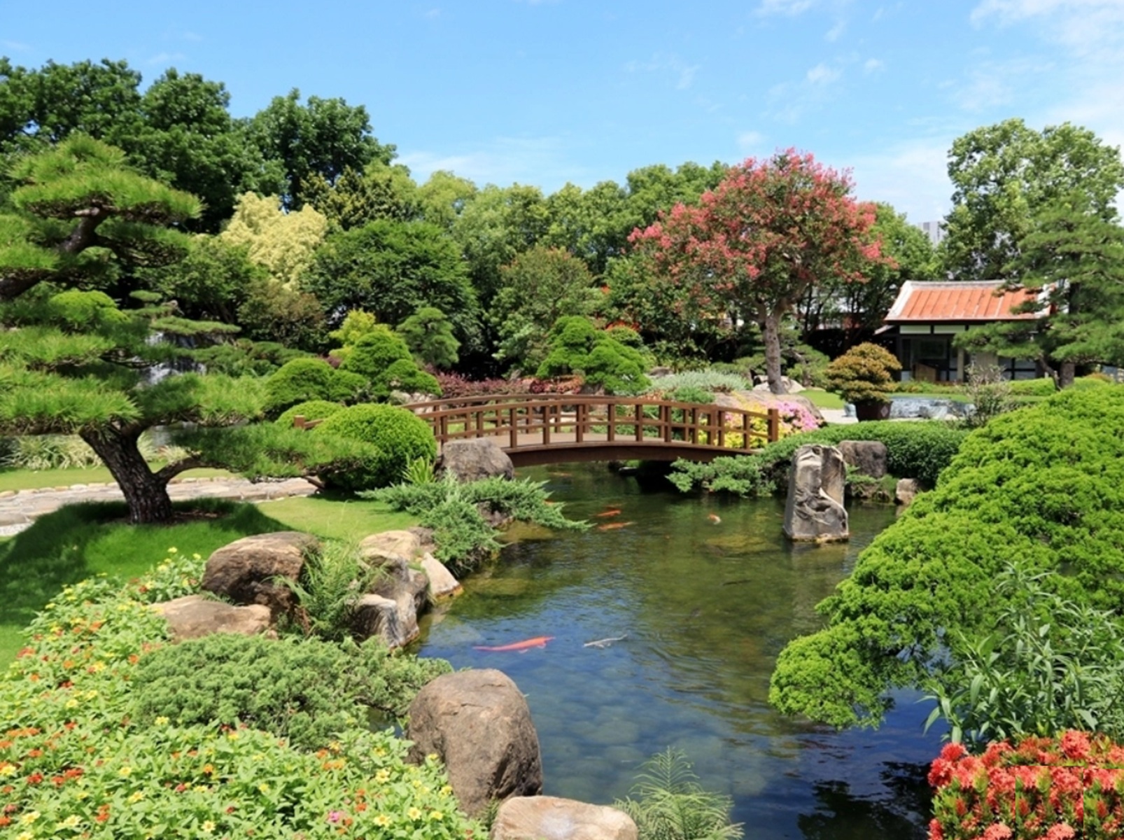 彰化【成美文化園】佔地10公頃的夢幻場景，包含新的東園區走到鐵腿