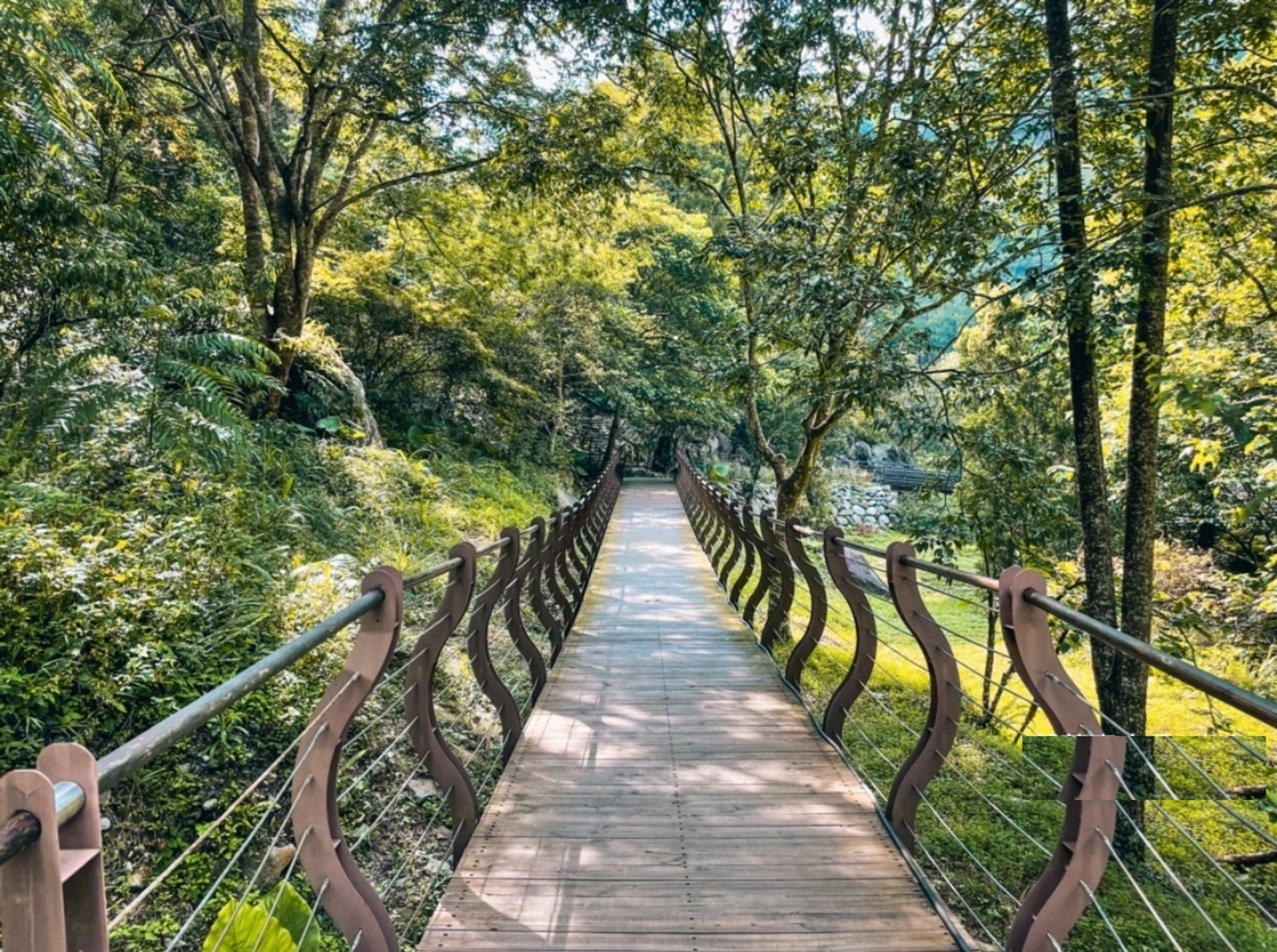 八仙山國家森林遊樂區