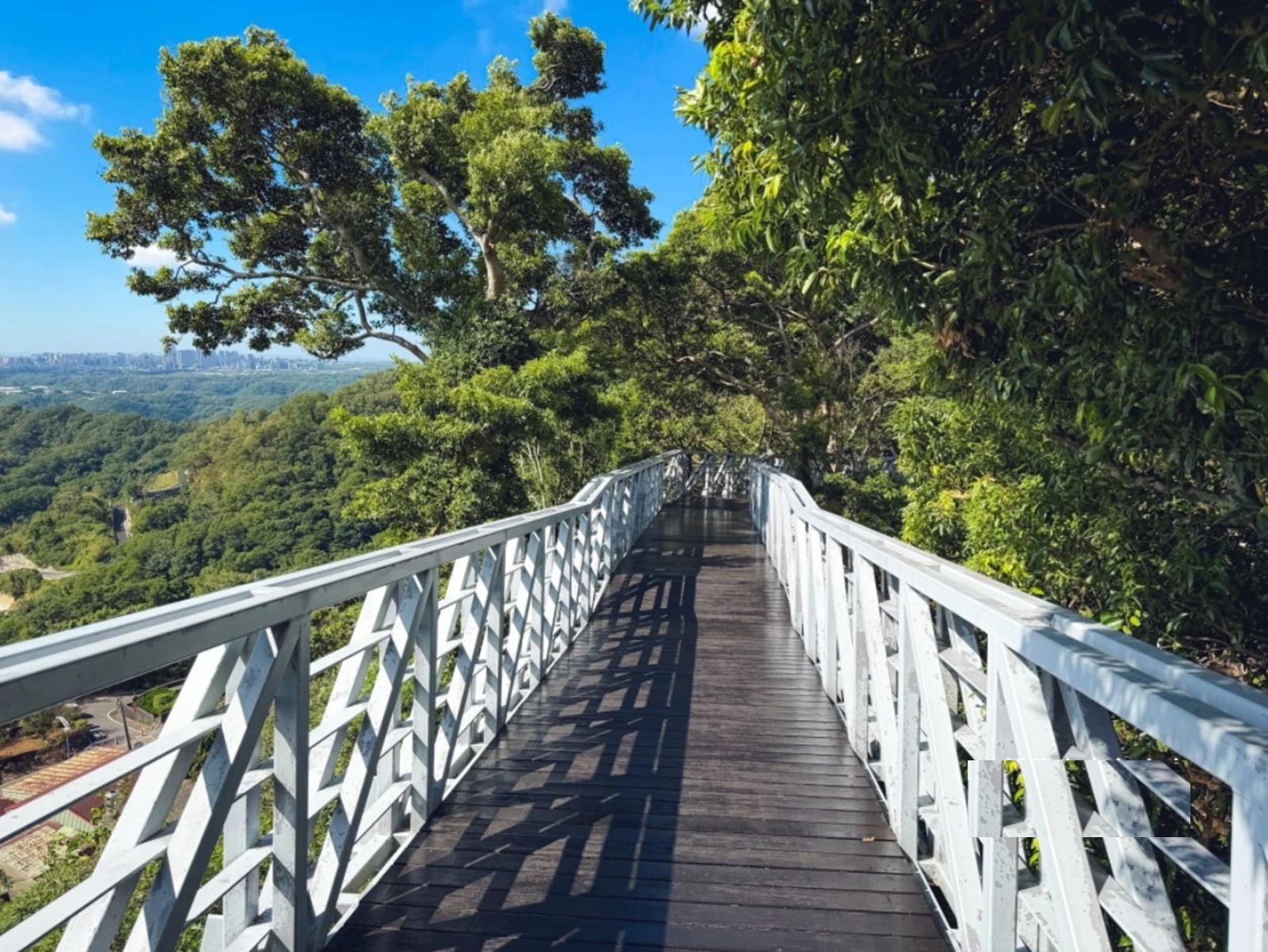 猜你不知道這裡，就是免費森林步道，走半小時能看老鷹飛，是步道的主打特色