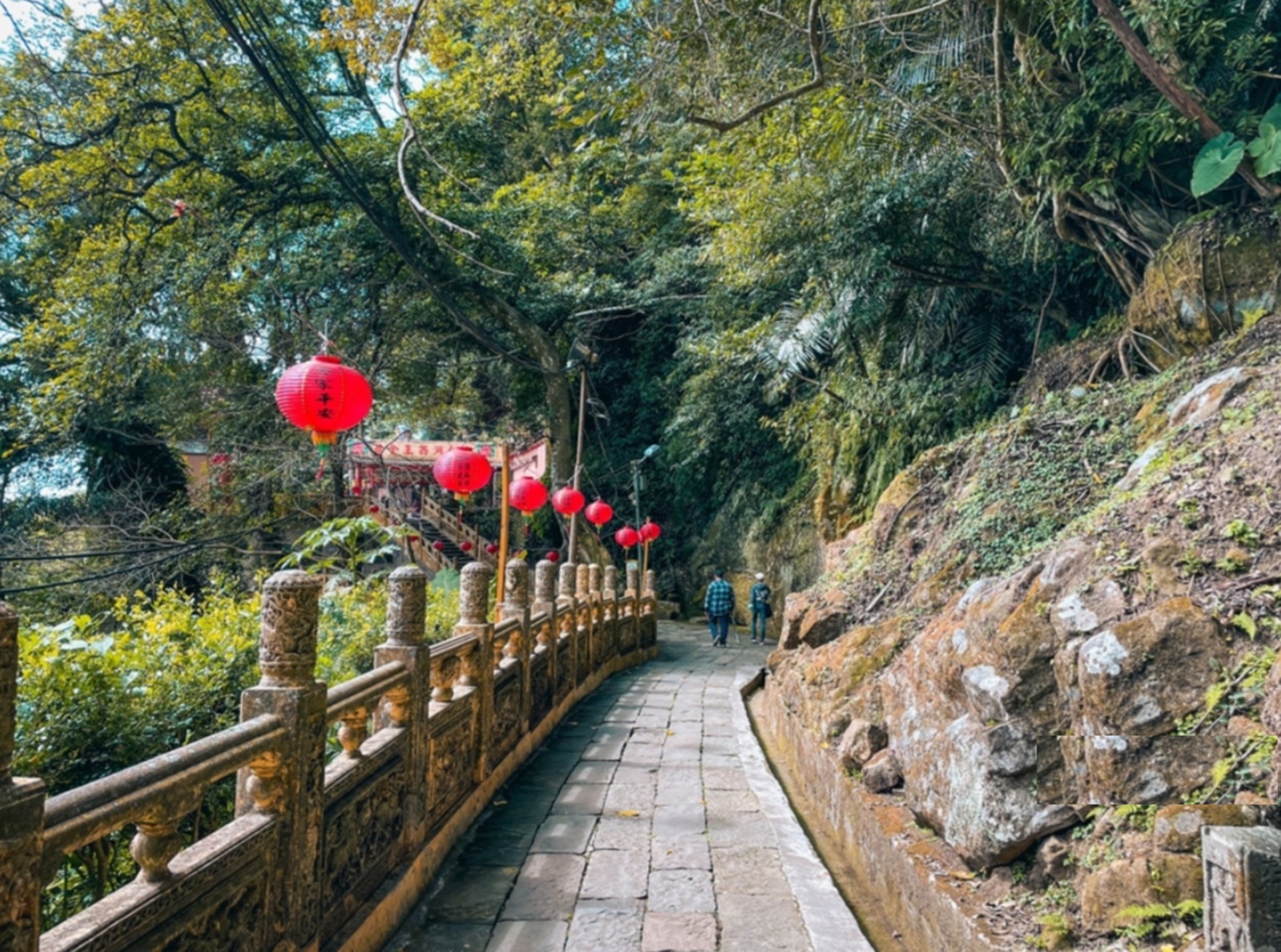 南庄「獅頭山勸化堂」藏在山裡的小百岳步道，戶外好停車真棒