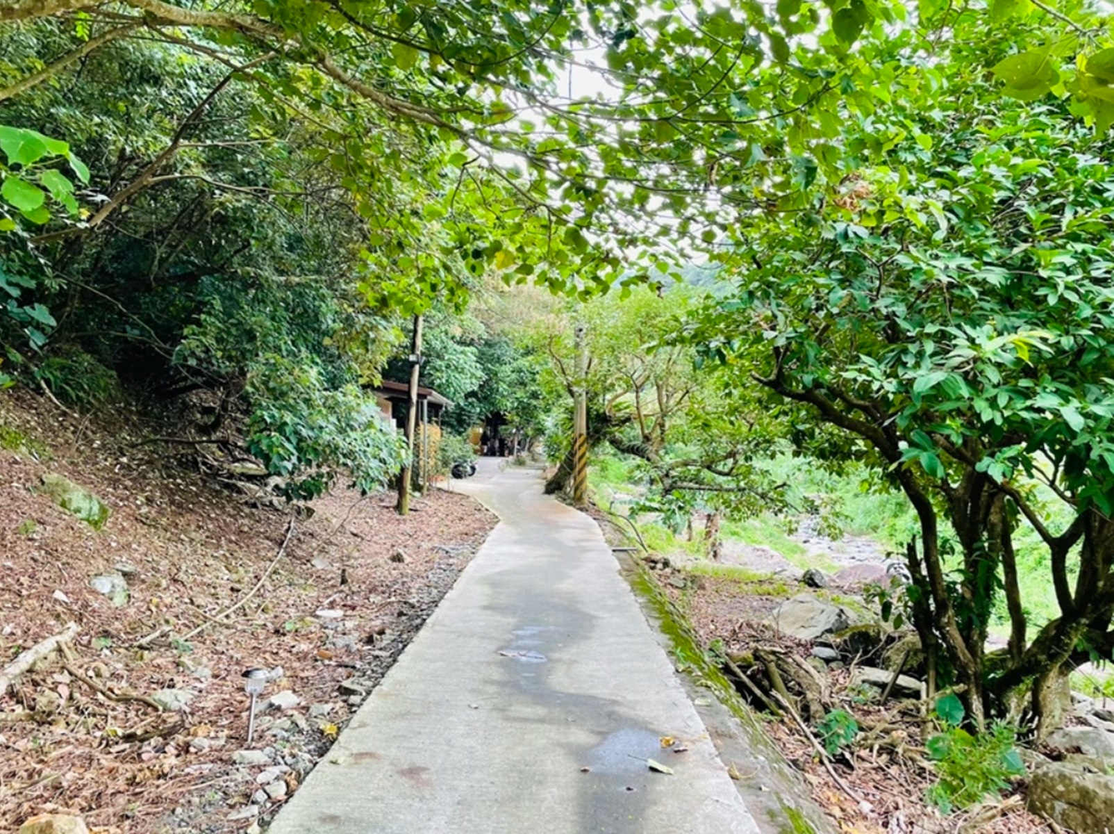 宜蘭【流水森林】義大利麵不但好吃又有入味，價格還很親民