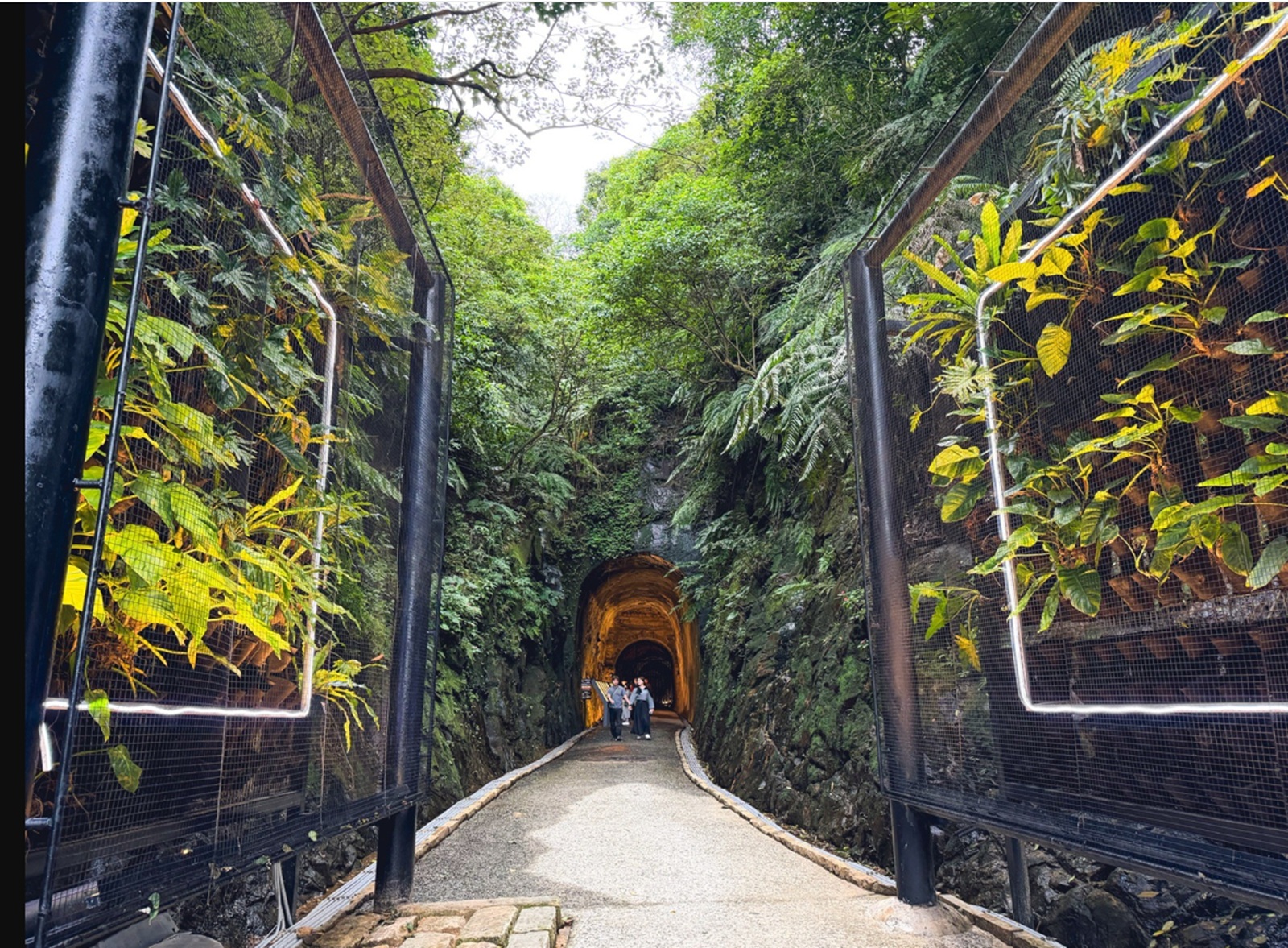 你應該不知道的鐵路隧道，免費入園就能走半天，隧道森林美景全都有
