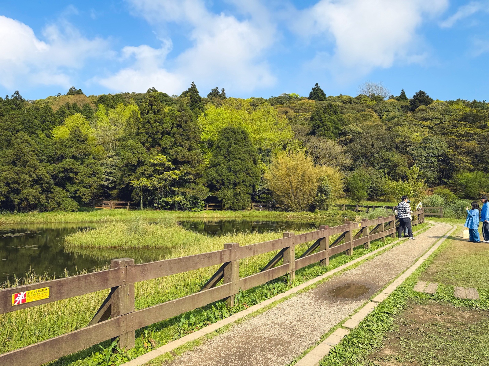 你應該不知道的森林吊橋，免費入園就能走半天，吊橋生態池美景全都有
