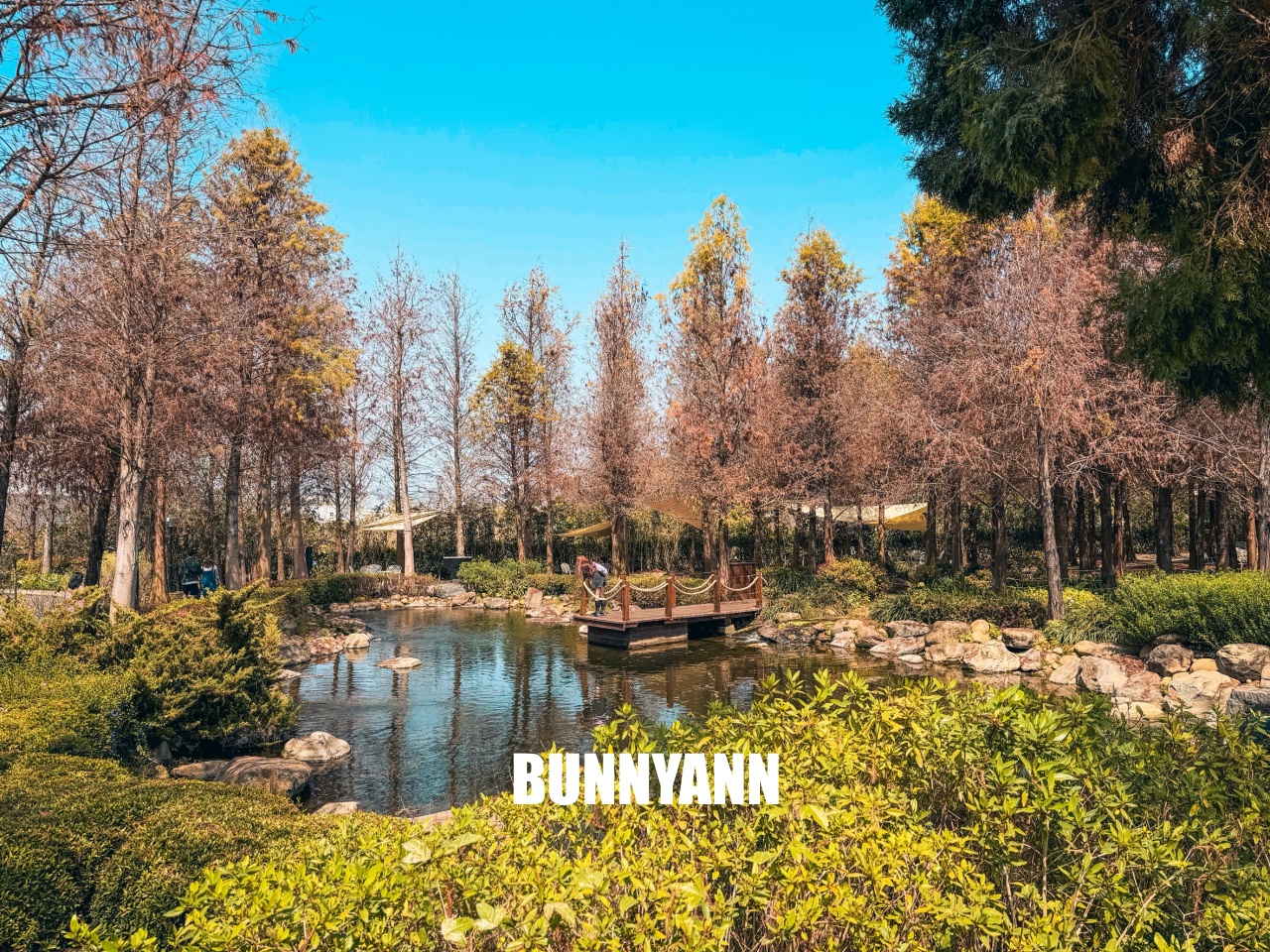 2026【佐登妮絲城堡】大林最美台版凡爾賽宮，落羽松、親子室、池畔造景都好拍