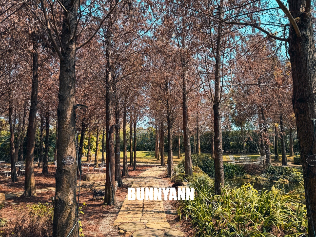 2026【佐登妮絲城堡】大林最美台版凡爾賽宮，落羽松、親子室、池畔造景都好拍