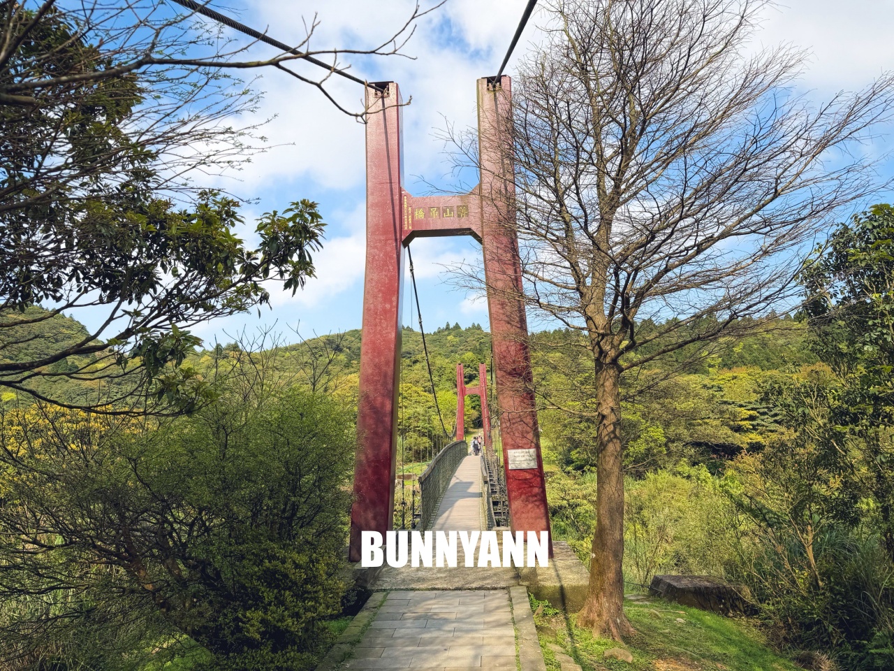 你應該不知道的森林吊橋，免費入園就能走半天，吊橋生態池美景全都有