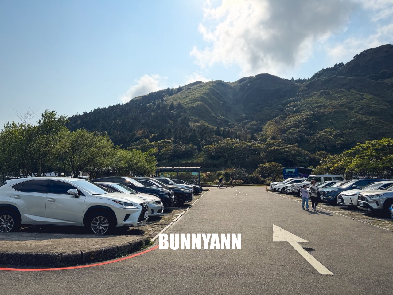 你應該不知道的森林吊橋,免費入園就能走半天,吊橋生態池美景全都有 你應該不知道的森林吊橋,免費入園就能走半天,吊橋生態池美景全都有