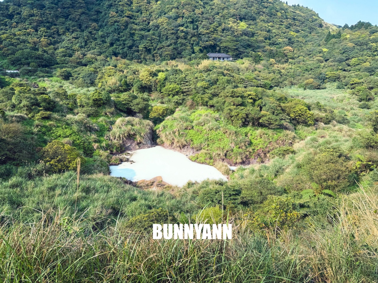 你應該不知道的森林吊橋，免費入園就能走半天，吊橋生態池美景全都有