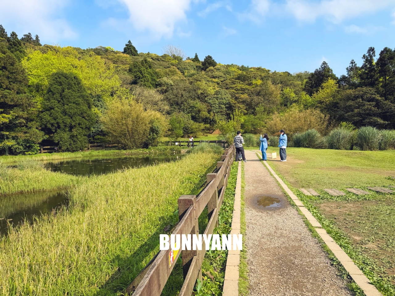你應該不知道的森林吊橋,免費入園就能走半天,吊橋生態池美景全都有 你應該不知道的森林吊橋,免費入園就能走半天,吊橋生態池美景全都有