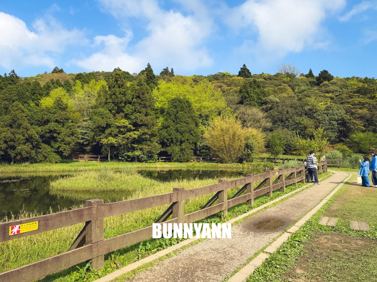 你應該不知道的森林吊橋，免費入園就能走半天，吊橋生態池美景全都有
