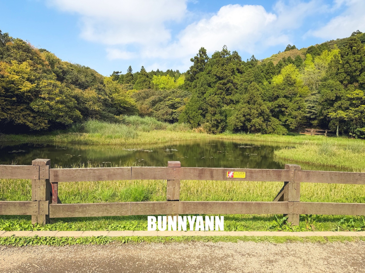 你應該不知道的森林吊橋,免費入園就能走半天,吊橋生態池美景全都有 你應該不知道的森林吊橋,免費入園就能走半天,吊橋生態池美景全都有