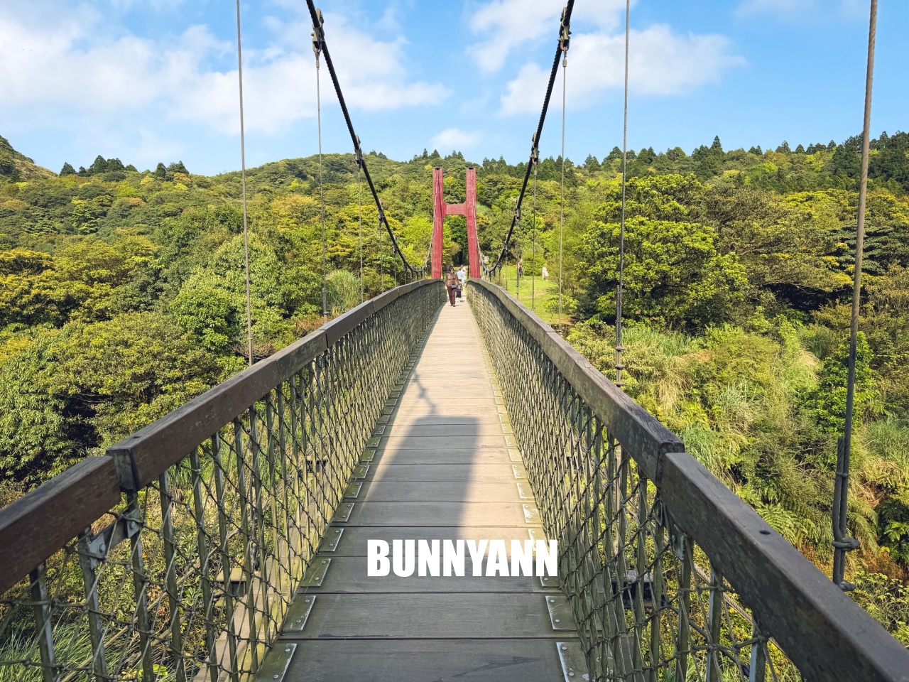 你應該不知道的森林吊橋,免費入園就能走半天,吊橋生態池美景全都有 你應該不知道的森林吊橋,免費入園就能走半天,吊橋生態池美景全都有