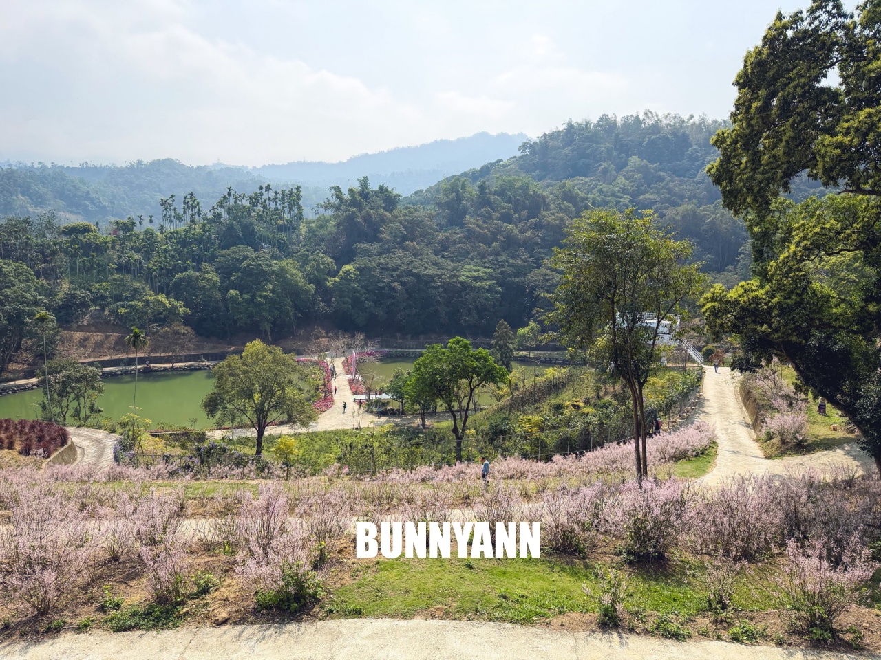 你應該不知道的森林山丘，200元入園就能待半天，花海湖畔美景全都有