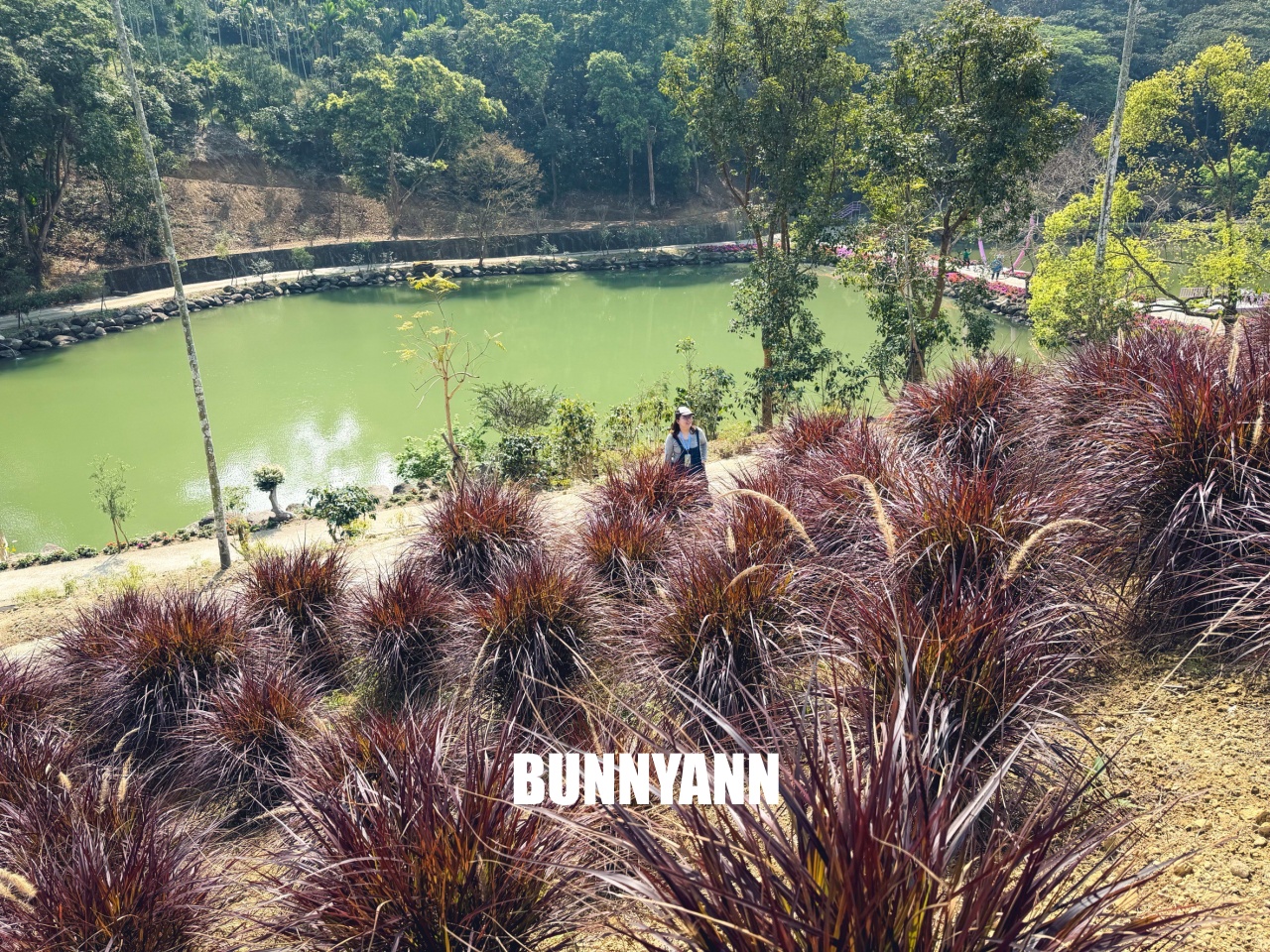 你應該不知道的森林山丘，200元入園就能待半天，花海湖畔美景全都有