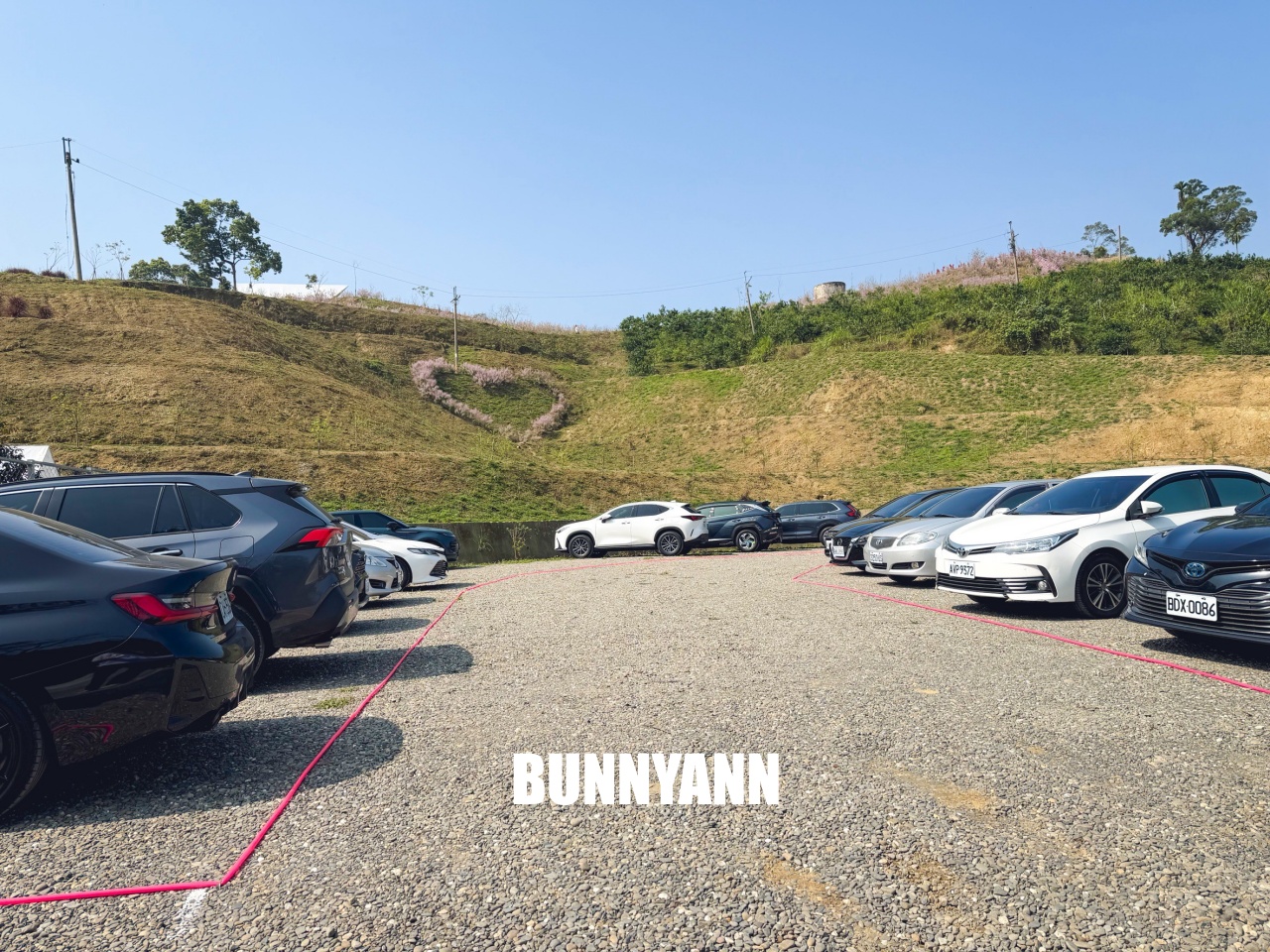 你應該不知道的森林山丘，200元入園就能待半天，花海湖畔美景全都有