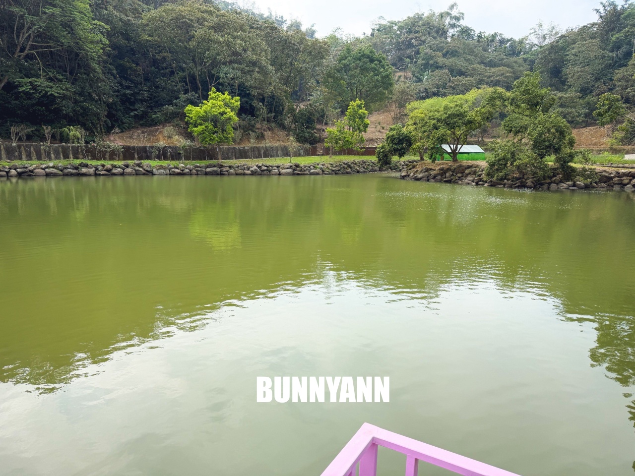 你應該不知道的森林山丘，200元入園就能待半天，花海湖畔美景全都有