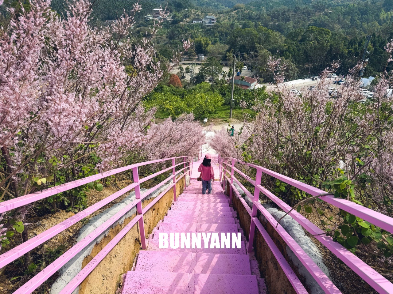 你應該不知道的森林山丘，200元入園就能待半天，花海湖畔美景全都有