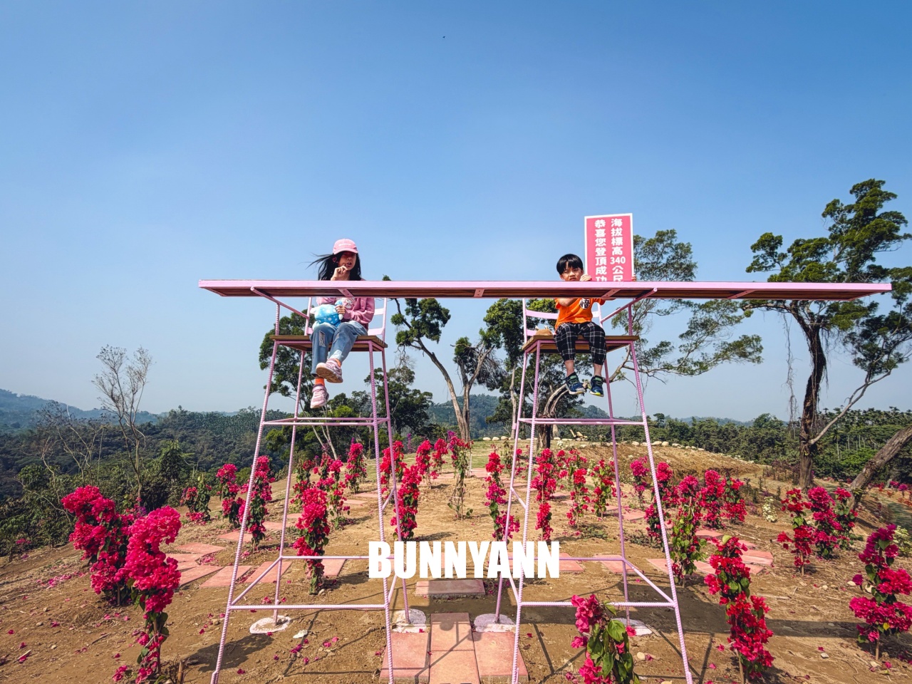 你應該不知道的森林山丘，200元入園就能待半天，花海湖畔美景全都有